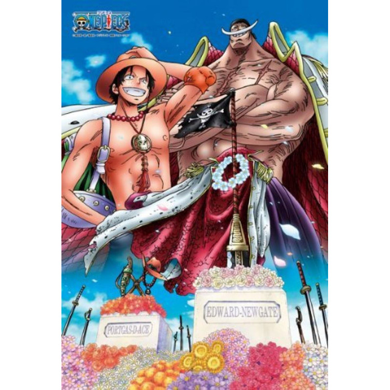 one piece rencontre entre luffy et dragon