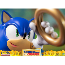 Sonic The Hedgehog - Diorama Sonic VS Chopper Figure