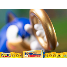 Sonic The Hedgehog - Diorama Sonic VS Chopper Figure