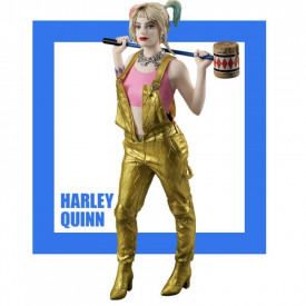Birds of Prey - Figurine Harley Quinn Super Special Series