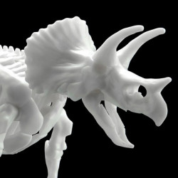 Jurassic - Maquette...