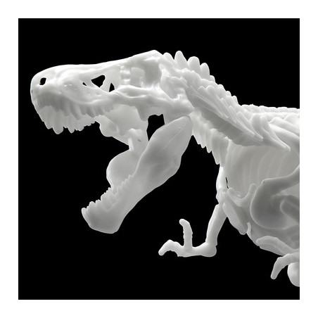 Jurassic - Maquette Tyrannosaure Limex Skeleteon Model Kit