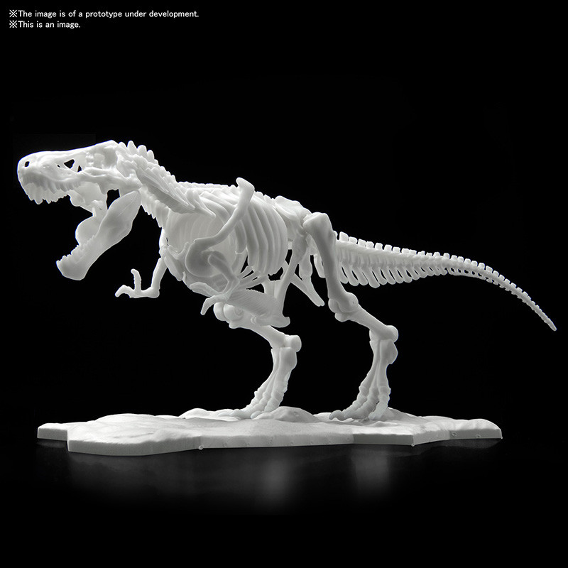 Jurassic - Maquette Tyrannosaure Limex Skeleteon Model Kit