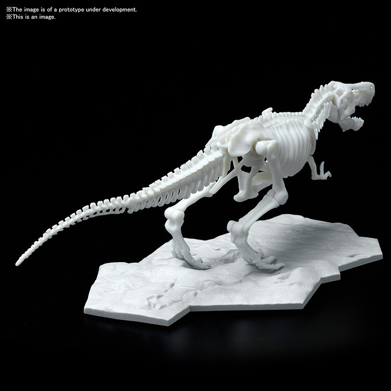 Jurassic - Maquette Tyrannosaure Limex Skeleteon Model Kit