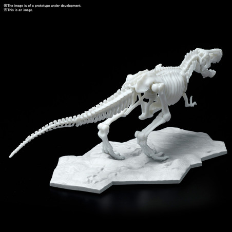 Jurassic - Maquette Tyrannosaure Limex Skeleteon Model Kit