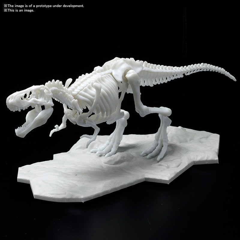 Jurassic - Maquette Tyrannosaure Limex Skeleteon Model Kit