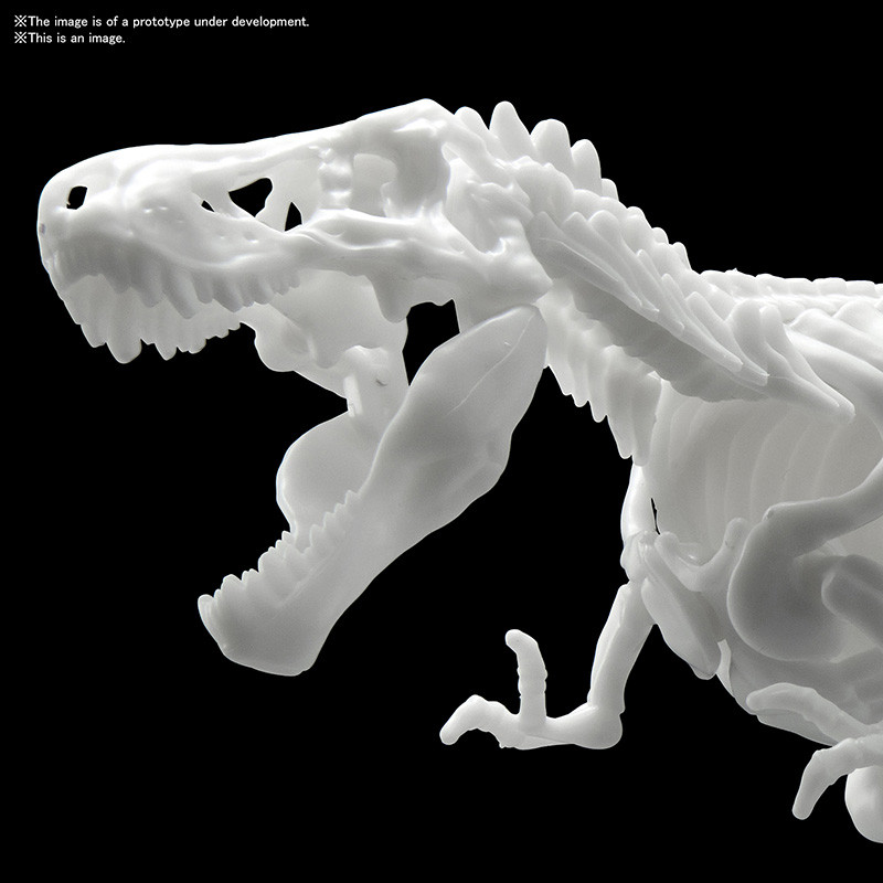 Jurassic - Maquette Tyrannosaure Limex Skeleteon Model Kit