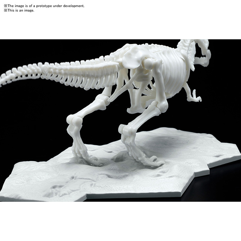 Jurassic - Maquette Tyrannosaure Limex Skeleteon Model Kit