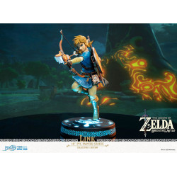 The Legend of Zelda Breath...