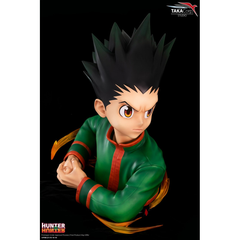 Hunter X Hunter - Buste Gon Freecss 1/1