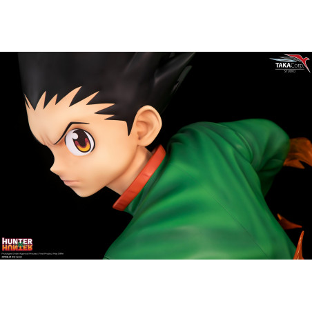 Hunter X Hunter - Buste Gon Freecss 1/1