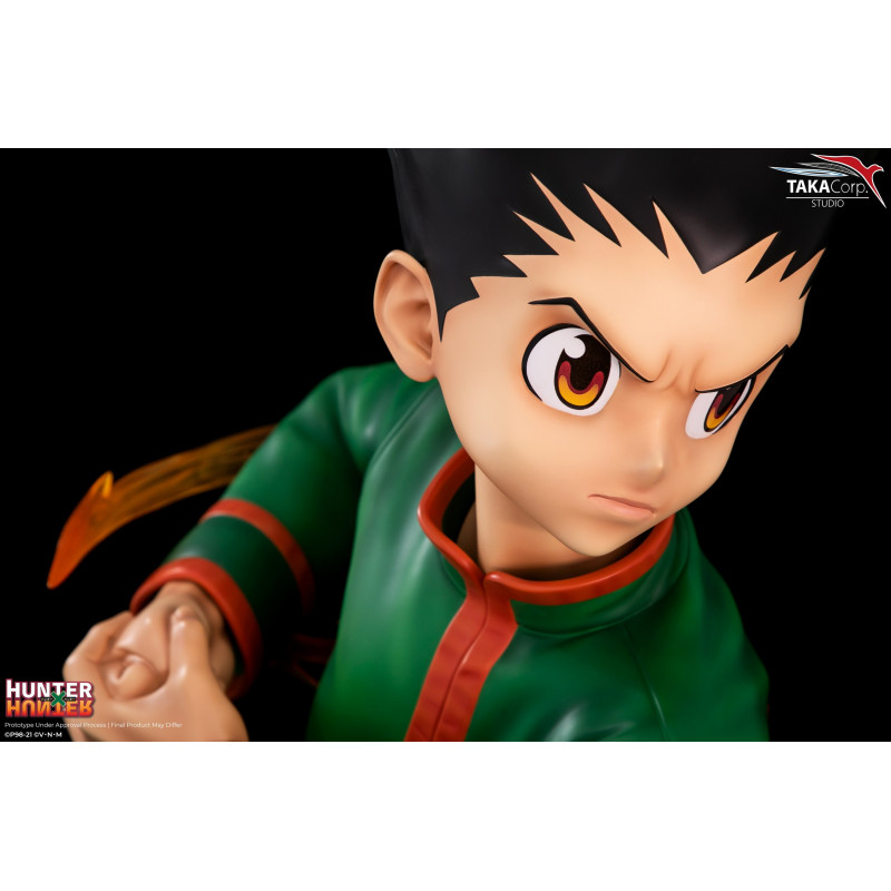 Hunter X Hunter - Buste Gon Freecss 1/1