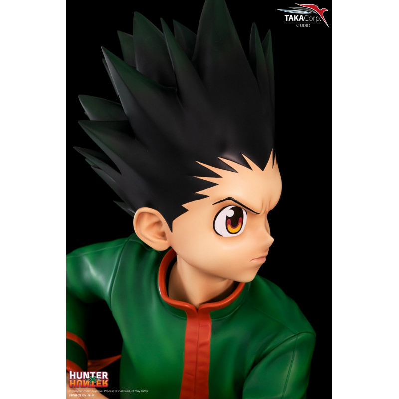 Hunter X Hunter - Buste Gon Freecss 1/1