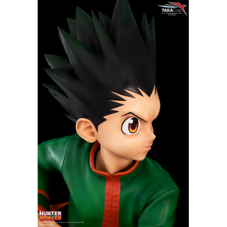 Hunter X Hunter - Buste Gon Freecss 1/1
