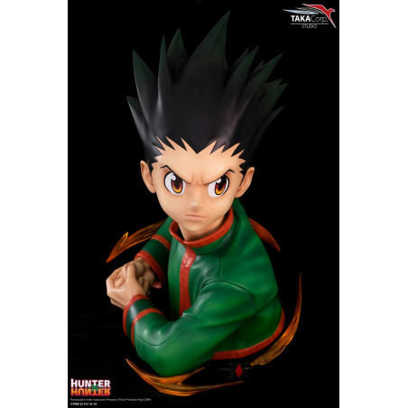 Hunter X Hunter - Buste Gon Freecss 1/1