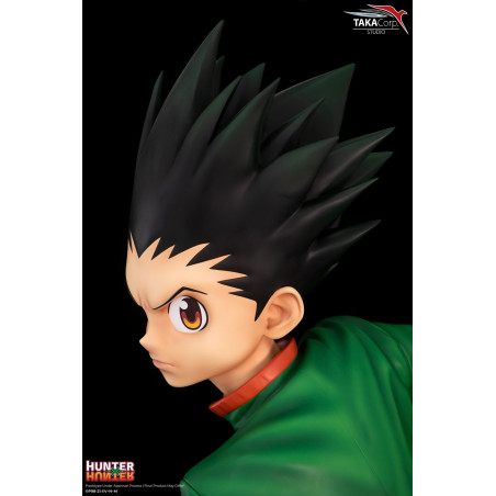 Hunter X Hunter - Buste Gon Freecss 1/1