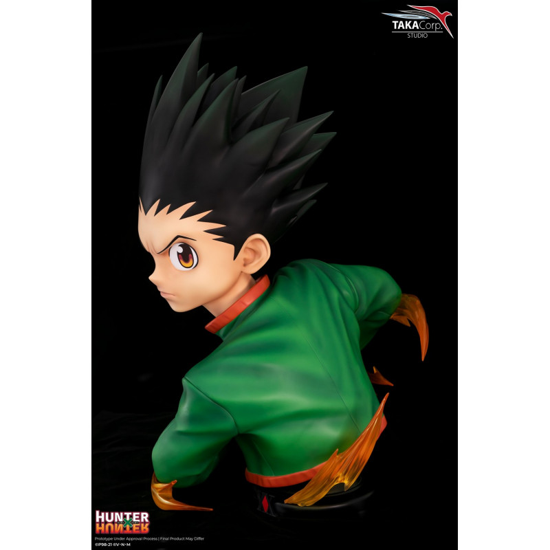 Hunter X Hunter - Buste Gon Freecss 1/1