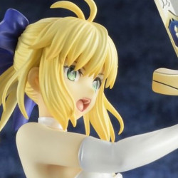 Fate/Stay Night Unlimited...