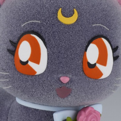 Pretty Guardian Sailor Moon...