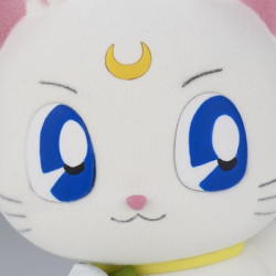 Pretty Guardian Sailor Moon...