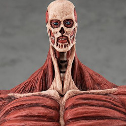 Attack On Titan - Figurine...