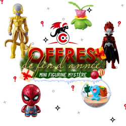 Offre Noel 2025 - Mini...