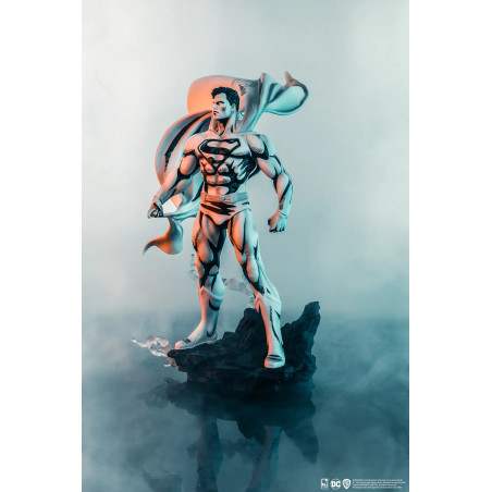DC Comics - Figurine Superman PX B&W 1/8