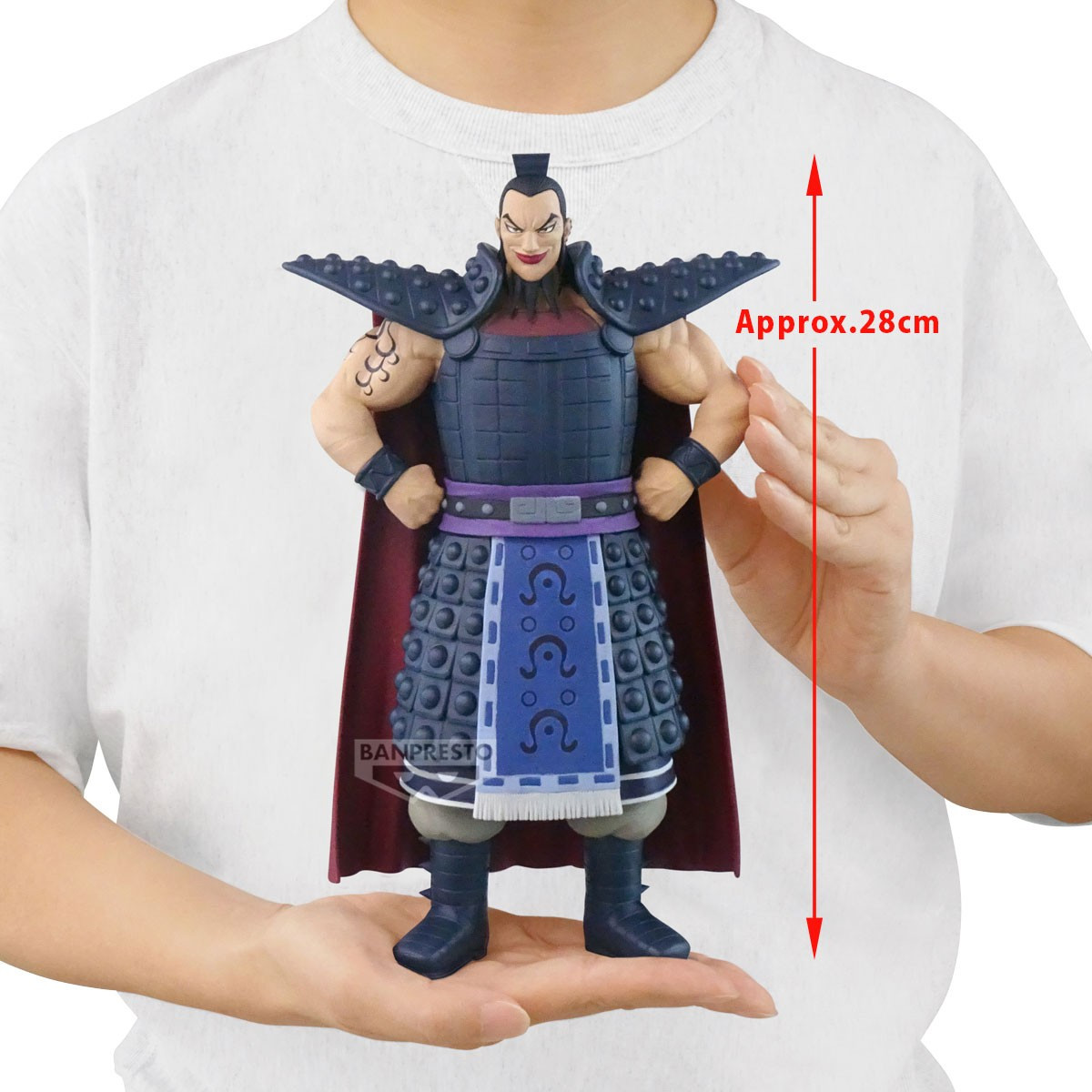 Kingdom - Figurine Ouki...