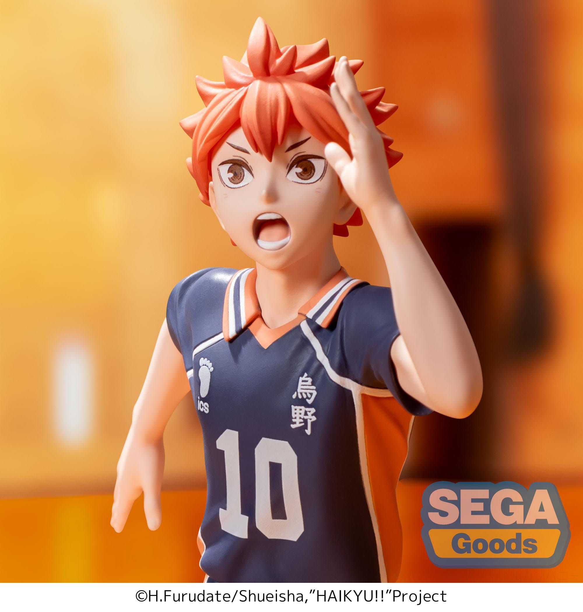 Haikyuu !! - Figurine Shoyo...