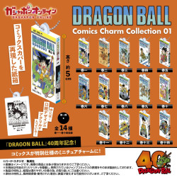 copy of Dragon Ball - Porte...
