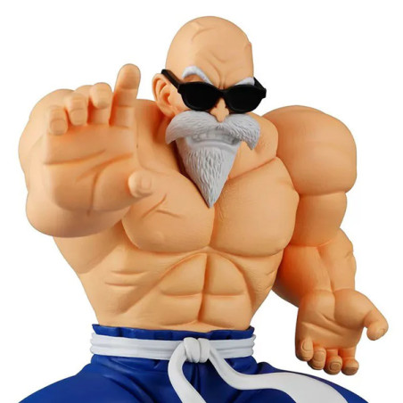 Dragon Ball - Figurine Kamé...