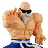 Dragon Ball - Figurine Kamé Sennin Solid Edge Works